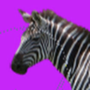 Meet your Posher, Sophie